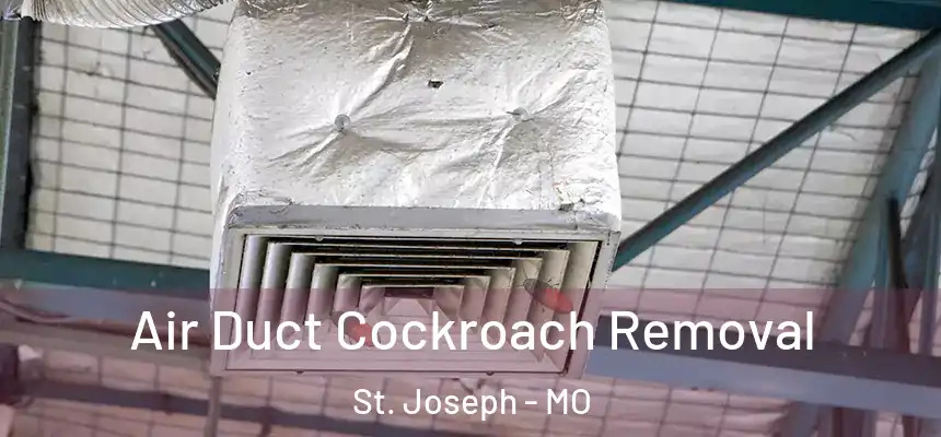 Air Duct Cockroach Removal St. Joseph - MO