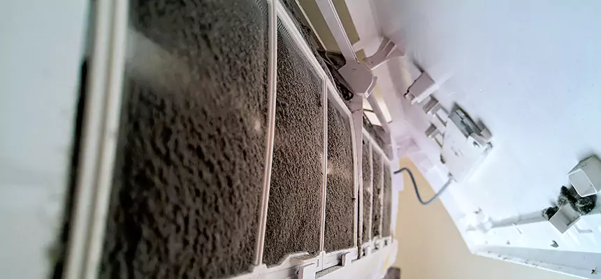 Preventive Air Duct Bacteria Removal in St. Joseph