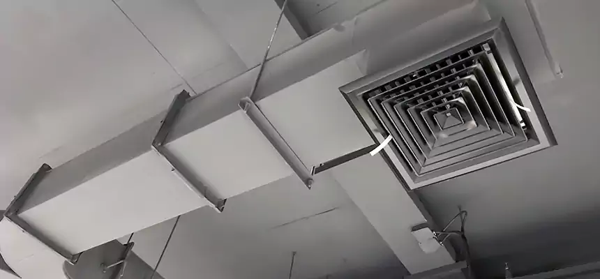 Restorative Allergy Relief Vent Cleaning – Coil, Blower & Housing Detail in St. Joseph