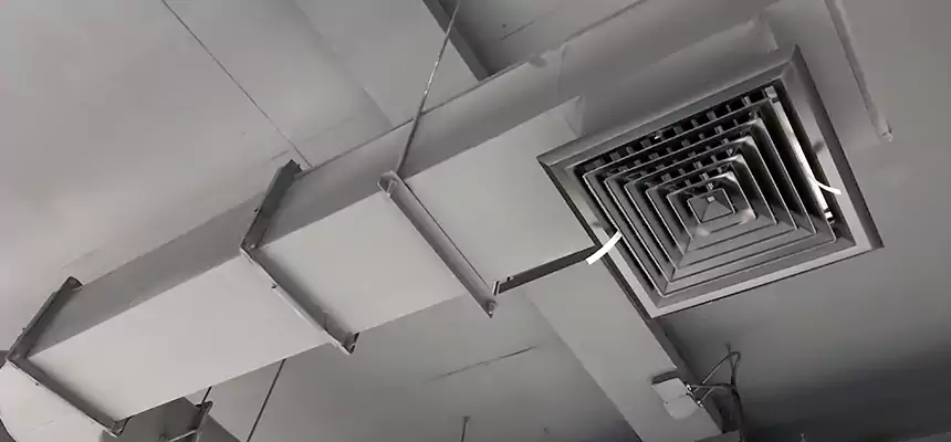 Our Pest Removal From Ducts Services in St. Joseph, MO