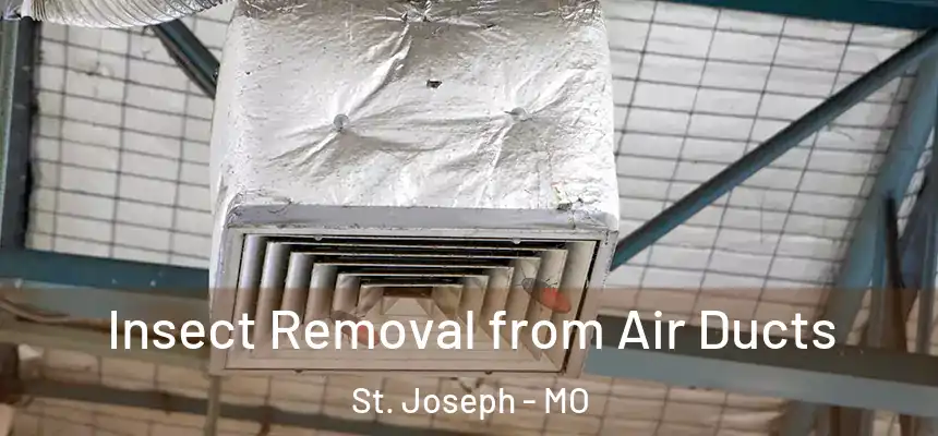 Insect Removal from Air Ducts St. Joseph - MO