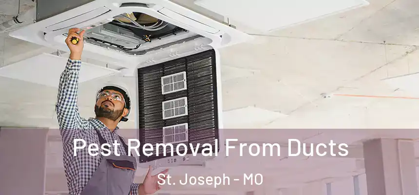 Pest Removal From Ducts St. Joseph - MO
