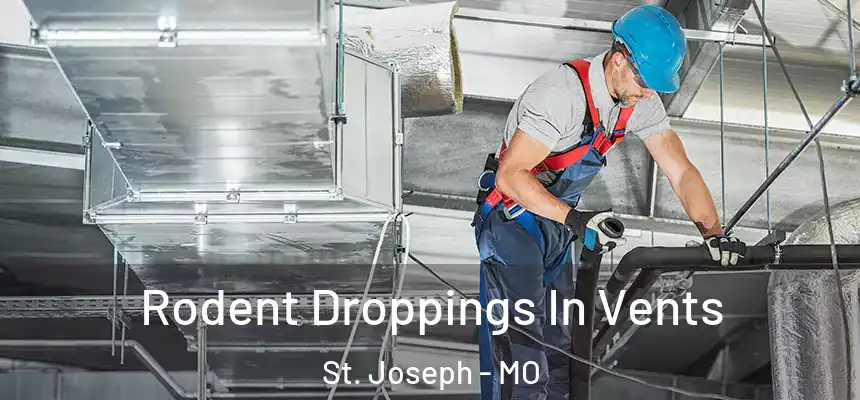 Rodent Droppings In Vents St. Joseph - MO