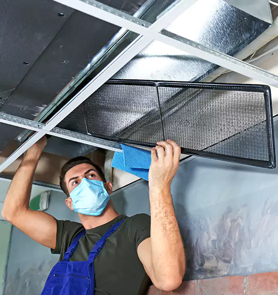 About Air Duct Bacteria Removal in St. Joseph