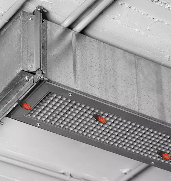 About Air Duct Cockroach Removal in St. Joseph, MO